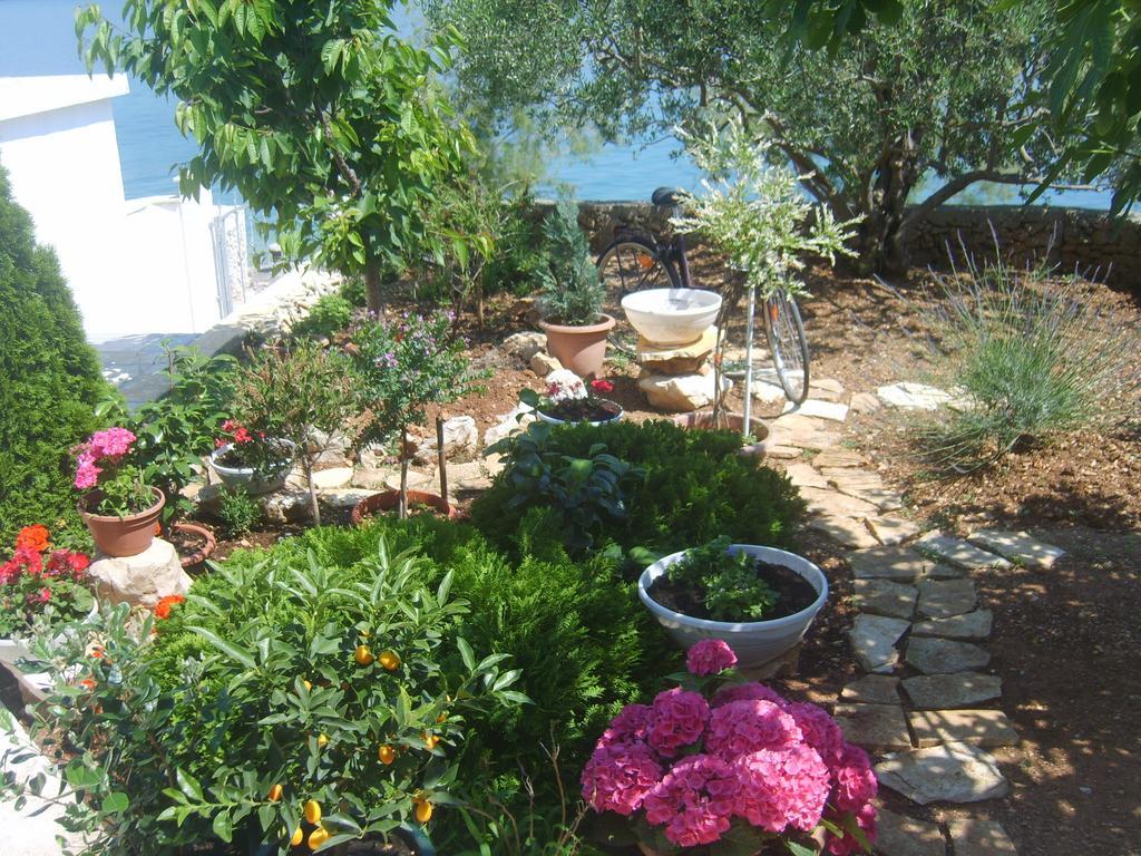 Apartments Iva Alla Trogir Rum bild