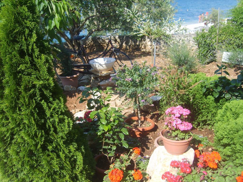 Apartments Iva Alla Trogir Rum bild